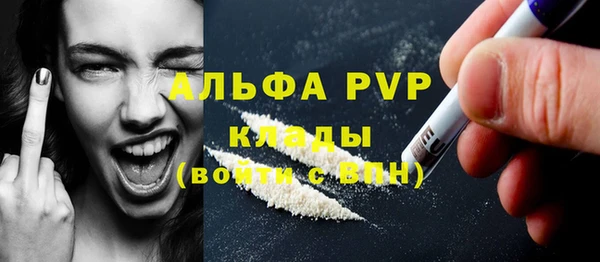apvp Каменка