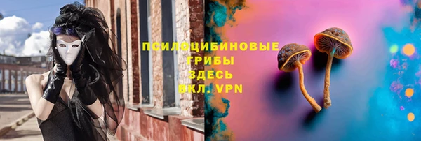 молекула духа Нея