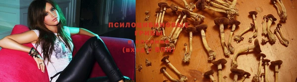молекула духа Нея