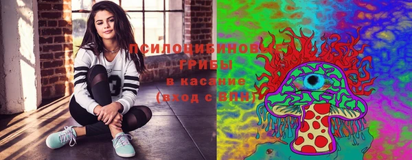 ГАЛЛЮЦИНОГЕННЫЕ ГРИБЫ Волоколамск